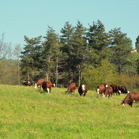 Gites A La Ferme De Bacon Saint-Sylvestre  Exterior foto